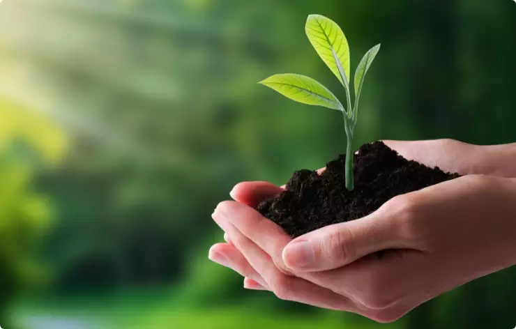 Preservação da Natureza e Sustentabilidade